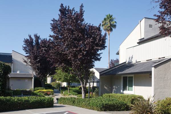$2,285 / 1hab - 600ft2 - Piso estilo madera, Recepción de paquetes, Microondas (fremont / union city / newark)63671973385217123