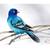 Original Turquoise Songbird - Hand-Signed 9x6 Watercolor & Ink Illustr 1 thumbnail