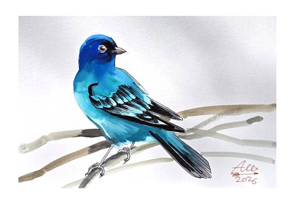 Original Turquoise Songbird - Hand-Signed 9x6 Watercolor & Ink Illustr 1