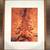 Original Framed and Signed Artwork- Your Choice-  $40.00 each 7 thumbnail