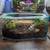 Land Snails and Starter kit Garden and Roman 4 thumbnail