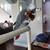 Experienced African Grey Family Looking to Give a Grey a Forever Home 3 thumbnail