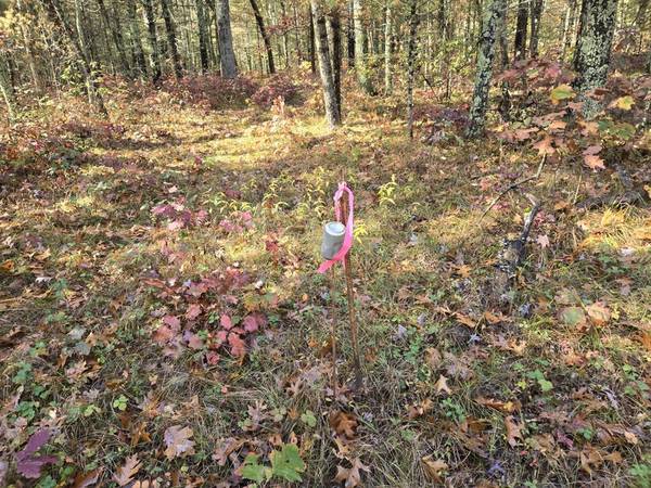 $17,000 1.37 Acres off the beaten path! (Bitely)64308162746243122