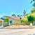 Tree & palm services, yard clean ups, artificial grass & pavers 21 thumbnail
