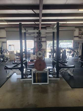 squat rack and 2 benches 1