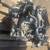 ★2012-2015 HONDA CIVIC  - 1.8 L Engine -#M18304★ 4 thumbnail
