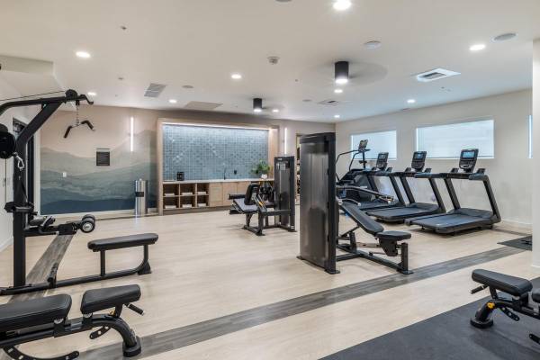 $2,115 / 1br - 632ft2 - Lujoso de 1 dormitorio / 1 baño, retiro asequible con vistas al Monte Rainier (Downtown Bellevue)63688443725313121