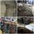 Crawlspace maintenance 3 thumbnail