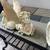 3 resin Angel Figures 4 thumbnail