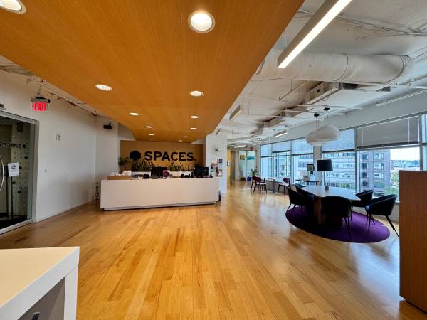 $66 Boost Your Business Presence in Chevy Chase / Bethesda! (Bethesda)63896033333379121