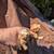 2 vintage yard art squirrels decoration 8 thumbnail
