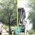 Arborist, Tree Work, Tree Service - hourly rates 21 thumbnail