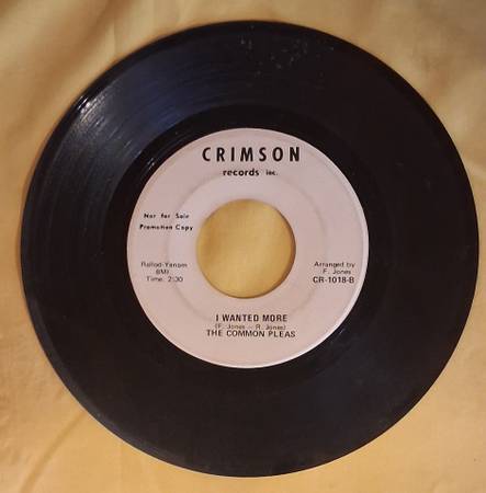 The Common Pleas 45rpm Promo Funky Judge - I Wanted More 1