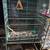 Bird cage 2 thumbnail