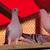 Ice pigeons 14 thumbnail