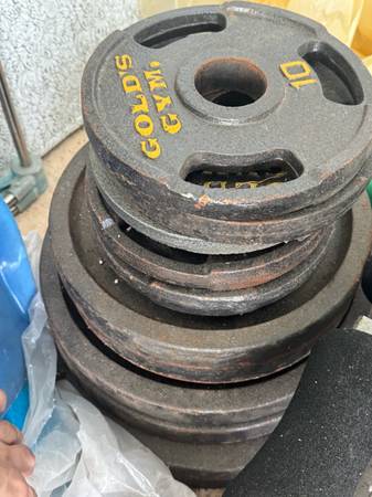 Barbell Standard Weight Plates 1