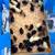 Chicks/Pullets & Ducks 2 thumbnail