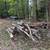 Firewood 2 thumbnail
