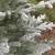 6.5' frosted SILVER TIP natural designer CHRISTMAS TREE unlit 2 thumbnail