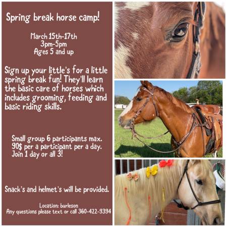 Horse camp 1