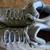 Merrell Women's Moab Mid Waterproof Grey Hiking Boots Excellent Sz. 9. 4 thumbnail