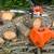 Stihl 026 Professional Chainsaw with Case and Bar Scabbard 7 thumbnail