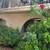 Beautiful 1bd/1ba available now! 2 thumbnail