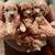 Toy poodles 2 thumbnail