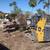 TREE SERVICE ➖PRUNING➖TREE CUT DOWN➖STUMP GRINDING🌴☎956➖522-4135 IN 3 thumbnail