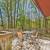 ranch home on double lot - comes furnished - oversized front deck 5 thumbnail