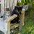 FREE KITTENS 8 thumbnail