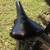 Like Brand New BROOKS B-17 CHAMPION SPECIAL GOLD EDITION SADDLE 10 thumbnail