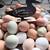 Eggs 4 thumbnail