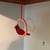 Hanging Cardinal Bird 1 thumbnail