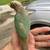 Bird 2 thumbnail