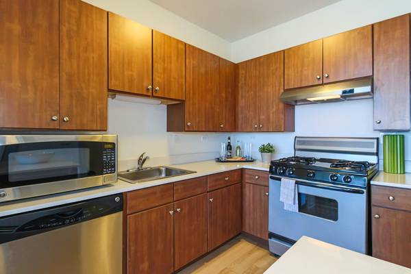 $2,500 / 1br - 890ft2 - Beautiful 1 bed with washer/dryer, plank floors, stainless appliances (Loop/New East Side)63898984827906124