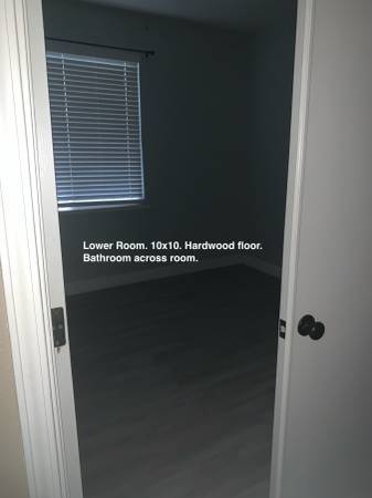 $775 / 1br - 100ft2 - Room available in a 4 bedroom house (Salida)63970445472387122