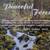 Nature’s Rhythms – Peaceful Forest Audio CD 2 thumbnail