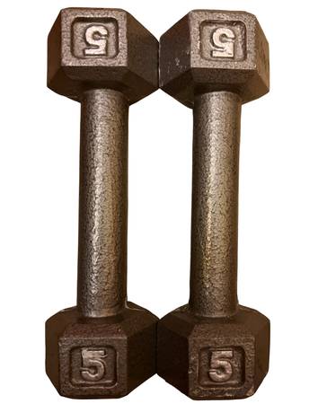 Cast Iron Hex Dumbbells 5lbs Set Clean 1