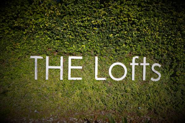 Duplicate of Studio for  Rent 1 bath  D204 1st month $499 1