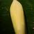 Wenonah Minnesota II Canoe ultralight excellent condition 8 thumbnail