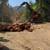 Barko Hydraulics Dangle head Harvester 1 thumbnail