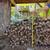 Season cheap firewood 2 thumbnail