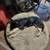 German shepherd 1 thumbnail