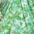 Vintage 1960's-1970's Women's Green Square Dance Dress - Size Medium 5 thumbnail
