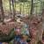 11.57 acres with 1306 ft of waterfrontage 7 thumbnail