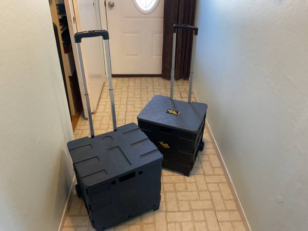 Teacher rolling carts 1