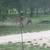 RV lot site for rent in country 9 thumbnail