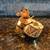 23kt Gold Christmas Ornaments 6 thumbnail