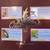 Danbury Mint Songbird Christmas Ornaments 3 thumbnail